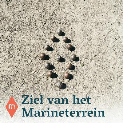 Social Stories #6 - Sociale Vernieuwers