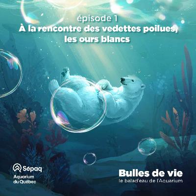Épisode 1 - À la rencontre des vedettes poilues, les ours blancs Épisode 1 - À la rencontre des vedettes poilues, les ours blancs