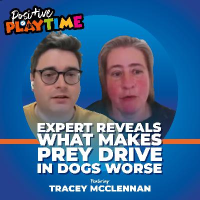 4. Prey Drive in Dogs: What You Need to Know 4. Prey Drive in Dogs: What You Need to Know