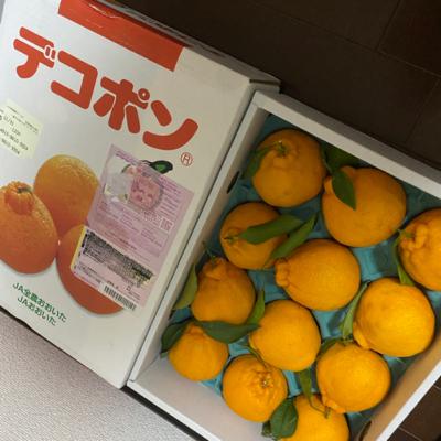 #98 人生、何事もほどほどがちょうどいいですよね。 #98 人生、何事もほどほどがちょうどいいですよね。