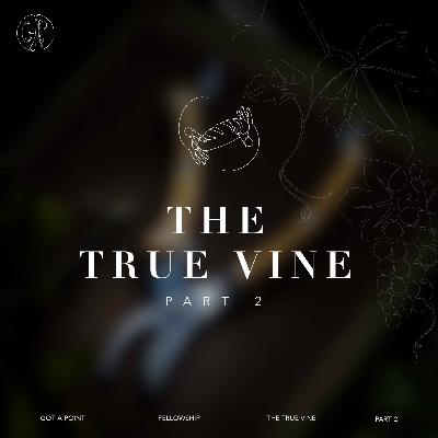 Got a Point Fellowship - Trust in GOD vs Entrust yourself in GOD - The True Vine Part 2