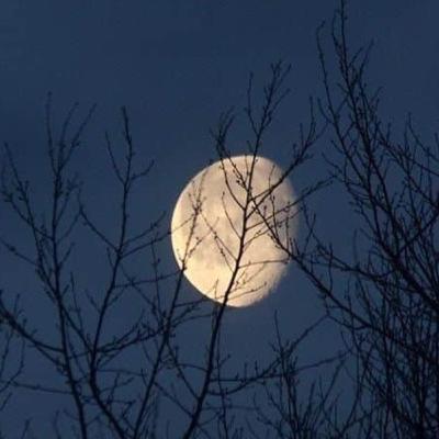 Full Moon Chakra Cleansing Full Moon Chakra Cleansing