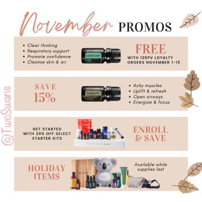 Check out the amazing November promotions and holiday items available! Check out the amazing November promotions and holiday items available!
