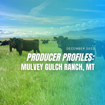 AGA Producer Profiles Mulvey Gulch Ranch
