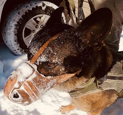 ASK9™ Intro (New World)