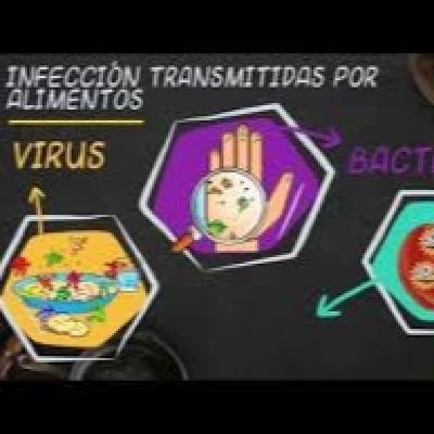Nota Ecovida 2.0 RPF-Soledad Avendaño - Columna de salud y Alimentación Saludable-#ETA-Virus-30-09-2025