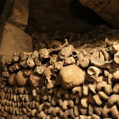 Episode 34: E34: Dark Tourism Episode 34: E34: Dark Tourism