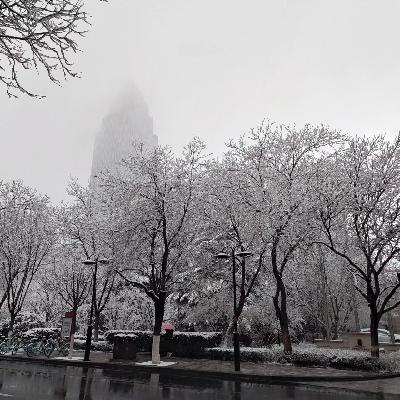 番外1：突然的不正式番外—:坚持想要分享读书的啊呜初尝试