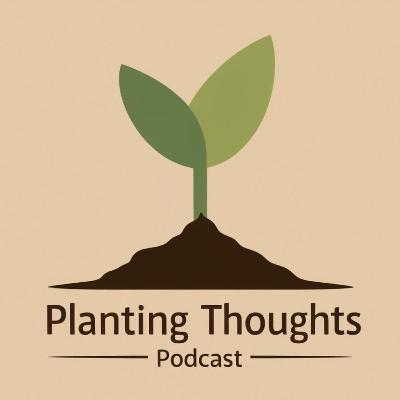 Reel Roots: Digging Deep Into Our Favorite Films