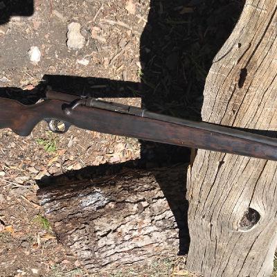 410 as a Survival Option - Little Shotgun Big Versatility