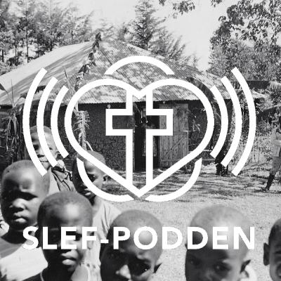 Ett ansvar för de onådda. SLEF:s missionsarbete i framtiden.