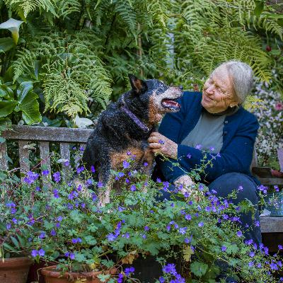 In Conversation with Robin Parer