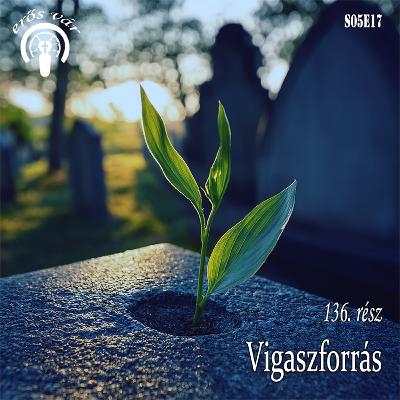 136. Vigaszforrás