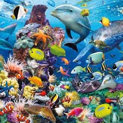 Fun Facts About Fish