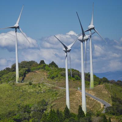 Sostenibilidad y los impuestos