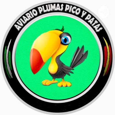 Entrevista a Alberto Alonso, presidente de FOCDE en Castilla y León