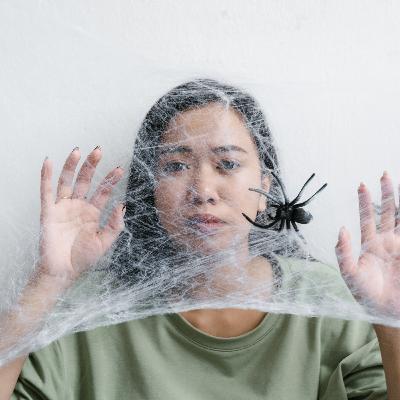 Chains to Courage: The Woman Who Fought for Her Freedom Chains to Courage: The Woman Who Fought for Her Freedom