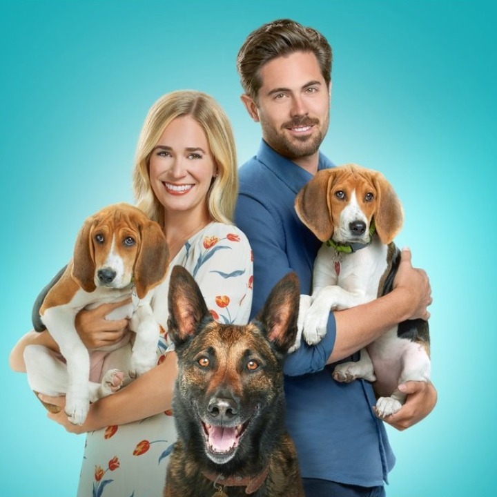 Prominent and long-standing streaming website Afdah