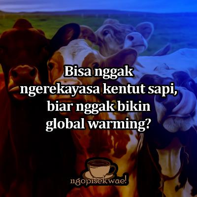 Bisakah kita merekayasa kentut sapi agar lebih ramah lingkungan?