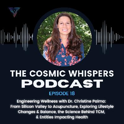 Engineering Wellness with Dr. Christine Palma: From Silicon Valley to Acupuncture, Exploring Lifestyle Changes & Balance, the Science Behind TCM, & Entities Impacting Health Engineering Wellness with Dr. Christine Palma: From Silicon Valley to Acupuncture, Exploring Lifestyle Changes & Balance, the Science Behind TCM, & Entities Impacting Health