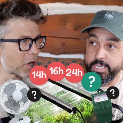 L'art de réussir ses semis vu par un agronome 🌡️🌱
