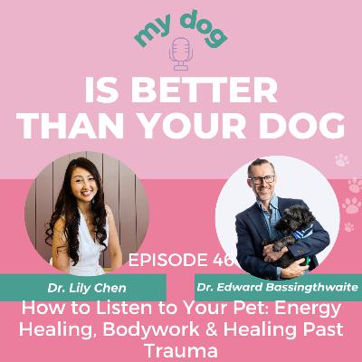 How to Listen to Your Pet: Energy Healing, Bodywork & Healing Past Trauma