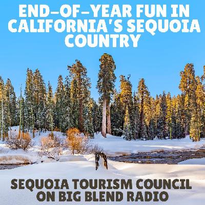 End-of-Year Experiences in California's Sequoia Country
