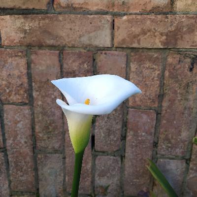 Encuentra el para qué de tu vida Encuentra el para qué de tu vida