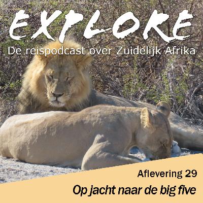 #29 Explore - Op jacht naar de big five