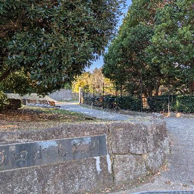 2024年12月27日 流行病からの復活