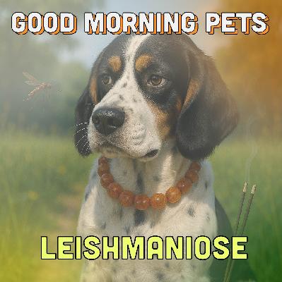 GMP85: Leishmaniose