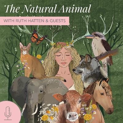 Every Animal Has A Message: Illustrating Animal Wisdom Through Art with Jessica Roux (#37)