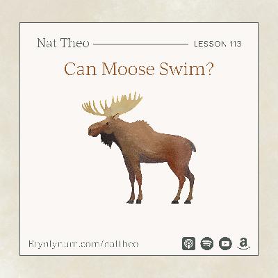 Can Moose Swim? Lesson 113