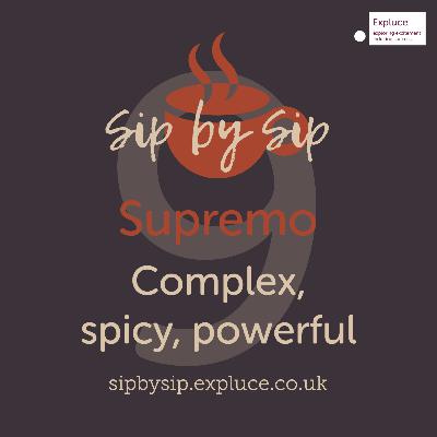 Cup 9, Supremo: Complex, spicy, powerful