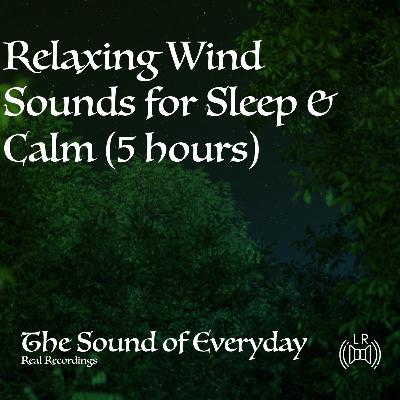 Relaxing Wind Sounds for Sleep & Calm (5 hours)