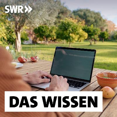 Leerstand und Landflucht – Was Städte und Gemeinden gegen Abwanderung tun