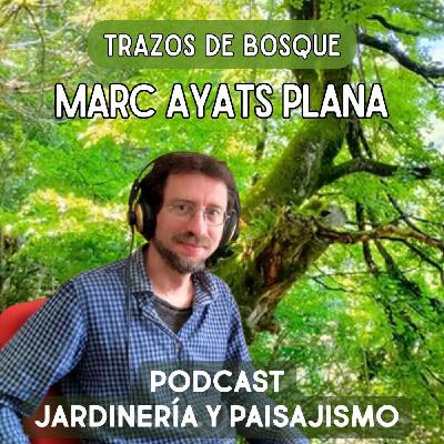# 365 - Entrevista a Marc Ayats Plana - Trazos de Bosque