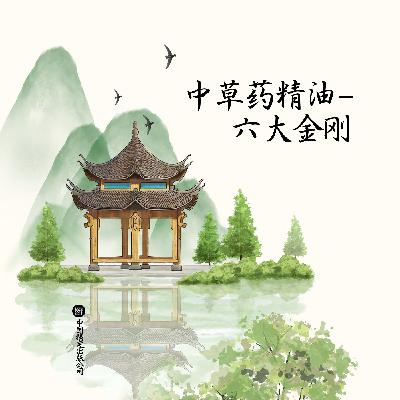 中草药植物精油-五大金刚
