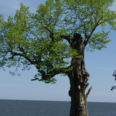 Finding My Way Through Darkness by Ira Progoff