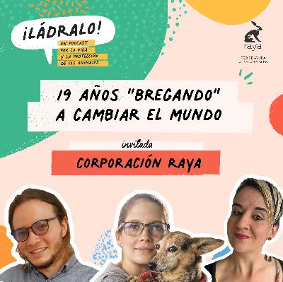 Temporada 15 - 19 años "bregando" a cambiar el mundo
