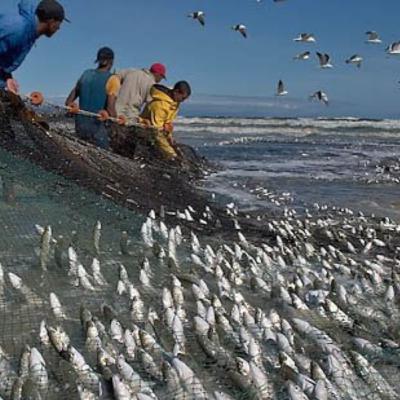 Perumpamaan Jala Besar Perumpamaan Jala Besar