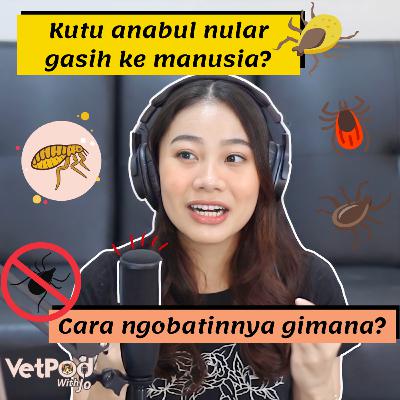 PETS 101 Eps. 03 Sedikit Tentang Per-kutuan