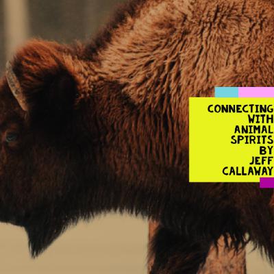 BUFFALO SPIRIT GUIDED SHAMANIC JOURNEY