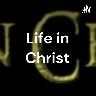 The state of Tobacco Farming in Zimbabwe The state of Tobacco Farming in Zimbabwe