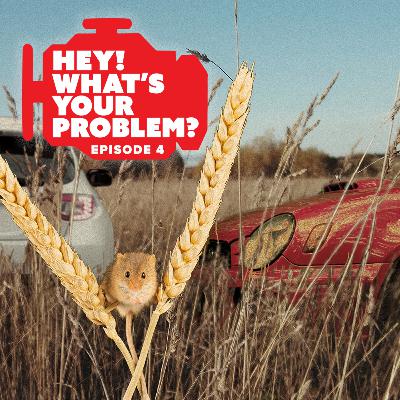 WYP Episode 004: Misfire or Mouse Air Flow?