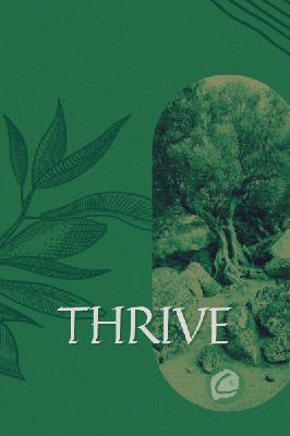 Thrive, pt. 1 : you are empowered