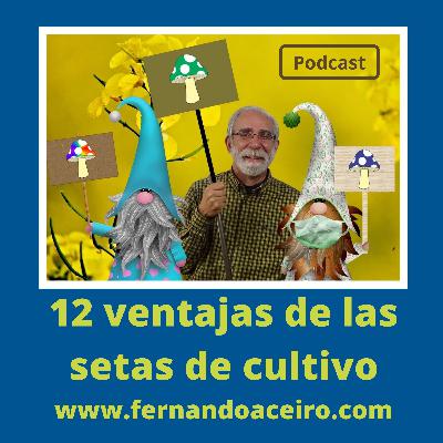 12 ventajas de las Setas de cultivo
