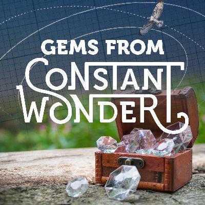 Gems from Constant Wonder: Adventures in Nature Gems from Constant Wonder: Adventures in Nature