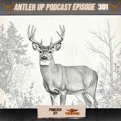 Reflecting & Motivation