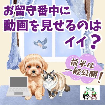 #1054. 犬猫のお留守番に：鳥などの動画を見せるのはOK？（質問に回答）